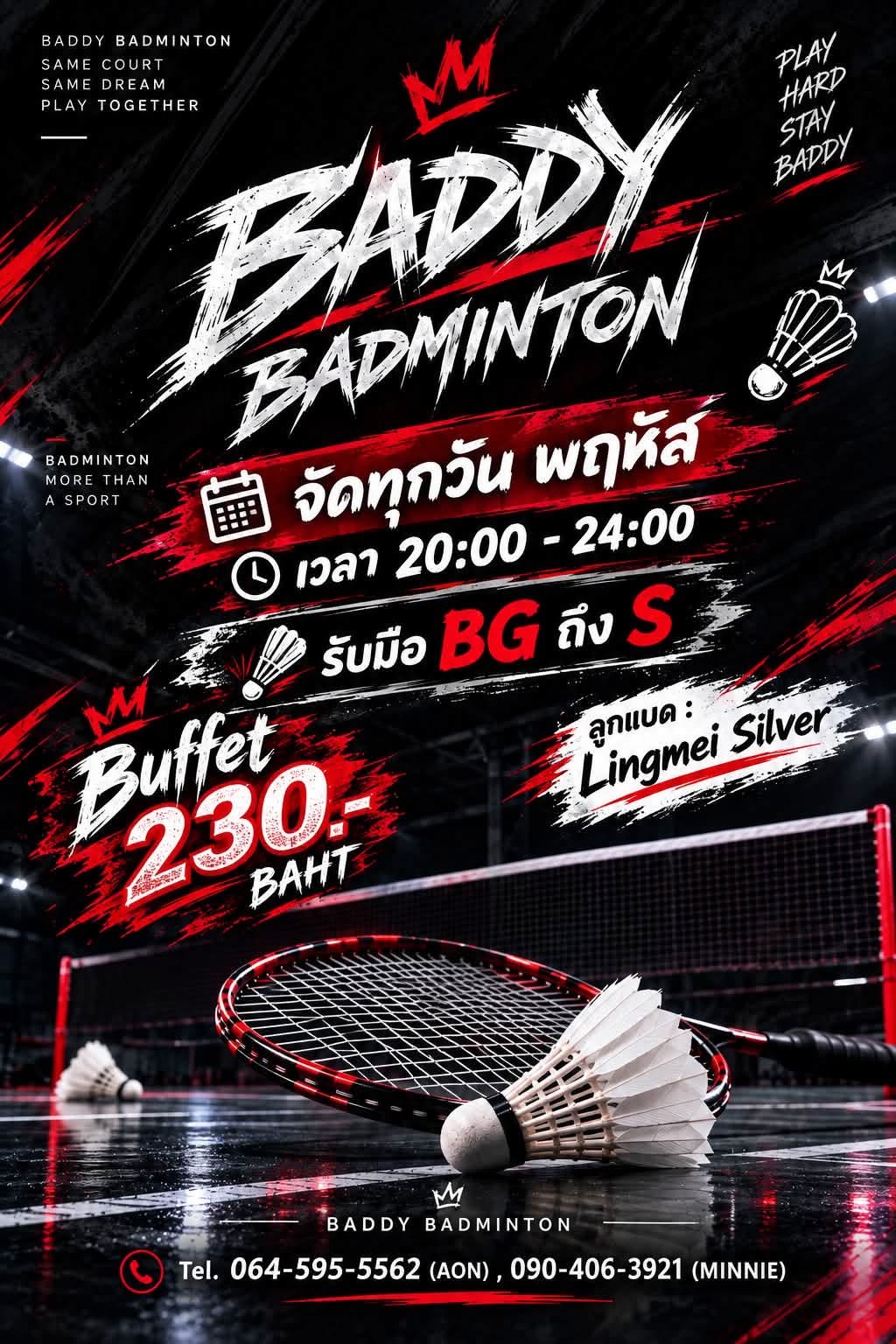 โลโก้ Baby Badminton